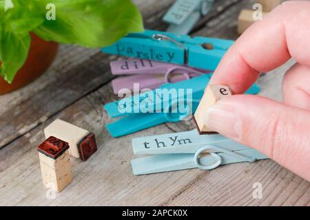 Making plant labels. Re-purposing wooden clothes pegs to make colourful plant labels with an inexpensive stamper Stock Photo