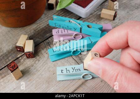 Making plant labels. Re-purposing wooden clothes pegs to make colourful plant labels with an inexpensive stamper Stock Photo