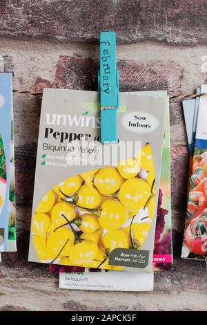 Organising seed packets for sowing using upcycled clothes peg for labels. Stock Photo