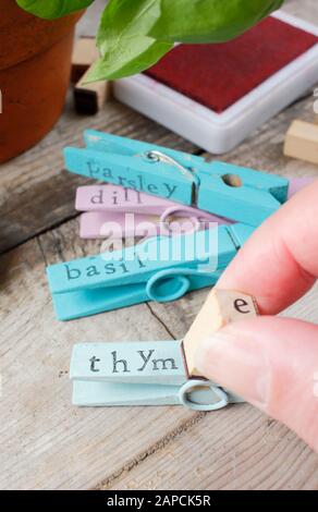 Making plant labels. Re-purposing wooden clothes pegs to make colourful plant labels with an inexpensive stamper Stock Photo