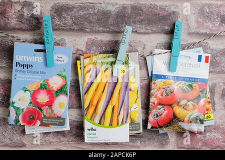 Seed packets organised by month of sowing using upcycled clothes peg for labels. Stock Photo