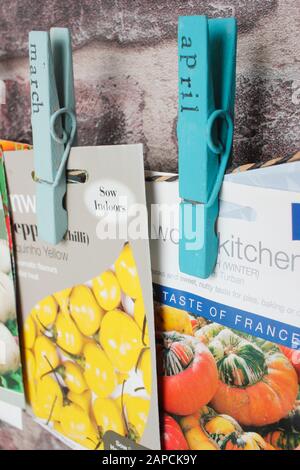 Organising seed packets for sowing using upcycled clothes peg for labels. Stock Photo