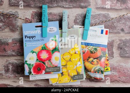 Seed packets organised by month of sowing using upcycled clothes peg for labels. Stock Photo