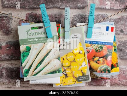 Organising seed packets for sowing using upcycled clothes peg for labels. Stock Photo
