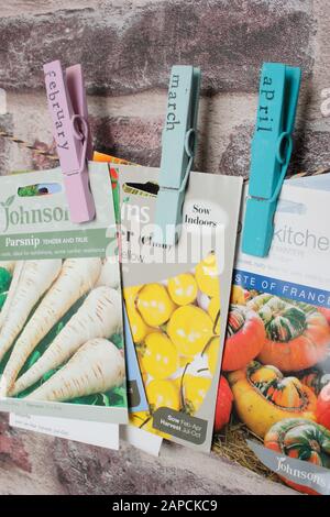 Organising seed packets for sowing using upcycled clothes peg for labels. Stock Photo