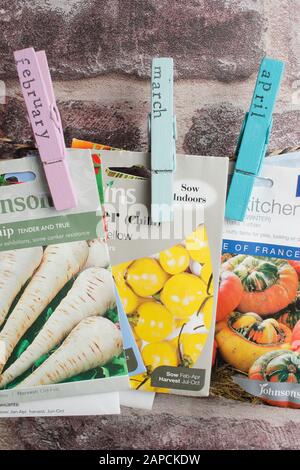 Seed packets organised by month of sowing using upcycled clothes peg for labels. Stock Photo