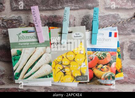 Seed packets organised by month of sowing using upcycled clothes peg for labels. Stock Photo