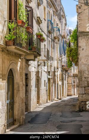 Scenic summer sight in Altamura, famous apulian town in the Province of Bari. Puglia (Apulia), Italy. Stock Photo