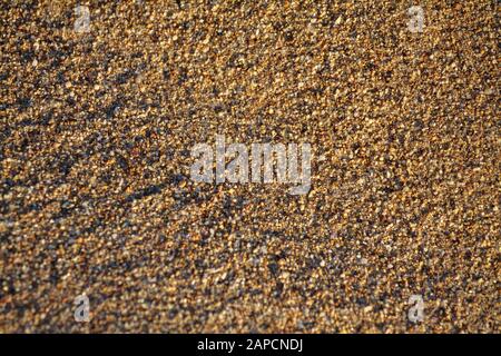 golden sand on the beach closeup glitters with grains poured under the rays of the setting sun Stock Photo