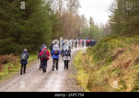 large group of walkers walking through Loch Ard Forest, Loch Lomond and the Trossachs National Park, Scotland, UK Stock Photo