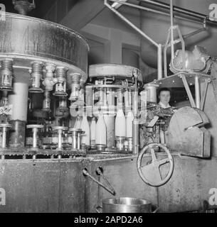 Milk factory in Denmark Description: Filling machine on the assembly line where the milk bottles are filled Date: March 1954 Location: Denmark Keywords: workers, conveyor belts, machines, mechanization, milk, milkcans, dairies, milk bottles Stock Photo