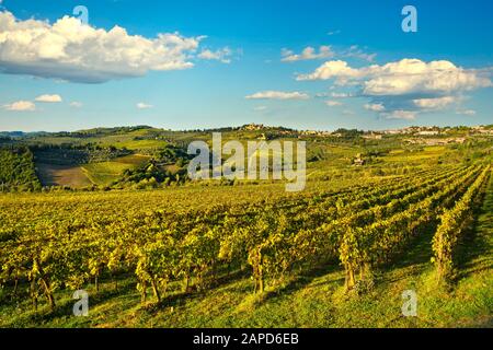 Panzano in Chianti vineyard and panorama at sunset in autumn. Tuscany, Italy Europe.
