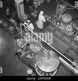 Milk factory in Denmark Description: Workers on the assembly line where the milk bottles are filled Date: March 1954 Location: Denmark Keywords: workers, conveyor belts, machines, mechanization, milk, milkcans, dairies, milk bottles Stock Photo