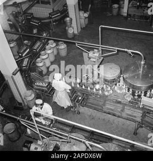 Milk factory in Denmark Description: Workers on the assembly line where the milk bottles are filled Date: March 1954 Location: Denmark Keywords: workers, conveyor belts, machines, mechanization, milk, milkcans, dairies, milk bottles Stock Photo