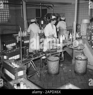 Milk factory in Denmark Description: Workers on the assembly line where the milk bottles are filled Date: March 1954 Location: Denmark Keywords: workers, conveyor belts, machines, mechanization, milk, milkcans, dairies, milk bottles Stock Photo