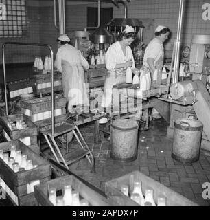 Milk factory in Denmark Description: Workers on the assembly line where the milk bottles are filled Date: March 1954 Location: Denmark Keywords: workers, conveyor belts, machines, mechanization, milk, milkcans, dairies, milk bottles Stock Photo