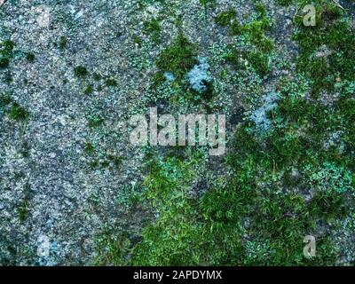 Beautiful colorful texture of natural stone.  Stock Photo