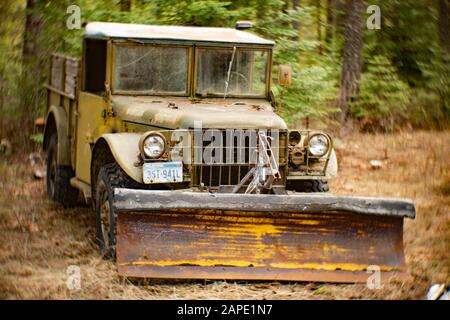 A 1953 Dodge M37 3/4-ton 4x4 truck (G741), with an attached snow plow, in a wooded area, in Noxon, Montana. Stock Photo