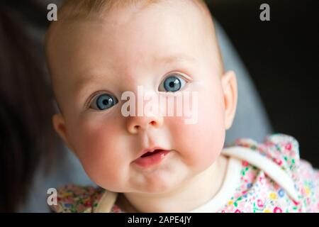 Isolated close up head shot of a 4 1/2 month old female infant. Stock Photo