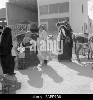 Israel 1960-1965: Bedouins in Beersewa (Beer Sheva) Description: Bedouin women in traditional clothing on the market, behind them some donkeys Date: January 1, 1960 Location: Beersewa, Israel Keywords: Bedouins, donkeys, robes, markets, street images, women Stock Photo