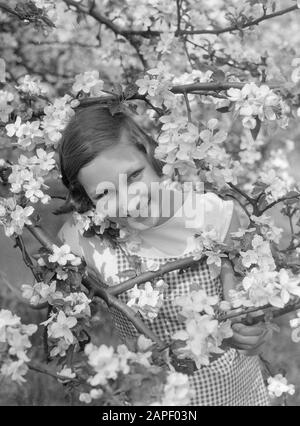 Flowering fruit tree in the Betuwe with Van der Polls stepdaughter Hans Date: 1932 Location: Betuwe Keywords: blossoms, orchards, fruit growing, spring, girls Personal name: hans Stock Photo