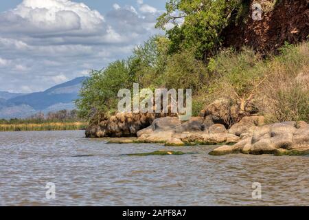 Lake Chamo landscape in the Southern Nations, Nationalities, and Peoples Region of southern Ethiopia. Africa Wilderness Stock Photo