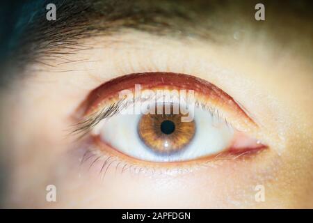Macro image with the brown eye of a man Stock Photo
