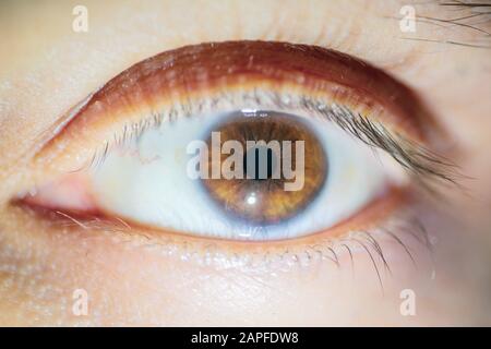 Macro image with the brown eye of a man Stock Photo