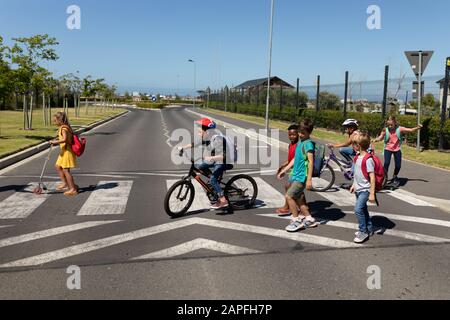 Group of schoolchildren on a pedestrian crossing