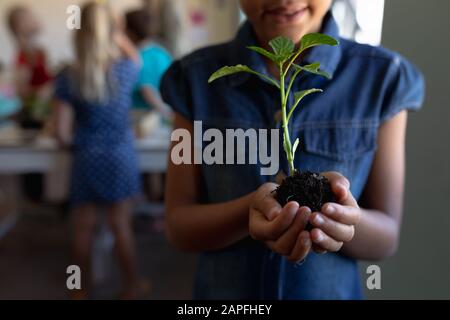 Schoolgirl standing holding a seedling plant in a jar of earth in an elementary school classroom Stock Photo