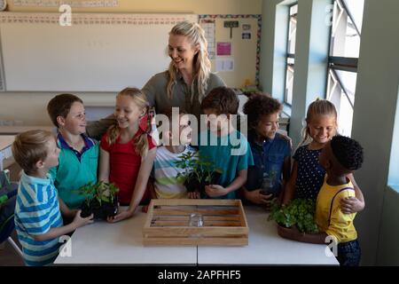 Female teacher around a box of plants for a nature study lesson in an elementary school classroom Stock Photo