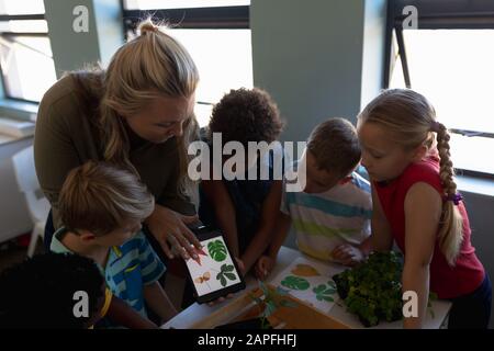 Female teacher looking at pictures of leaves on a tablet computer for a nature study lesson in an el Stock Photo