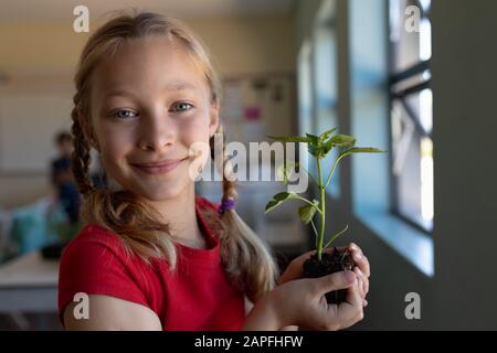 Schoolgirl standing holding a seedling plant in earth in an elementary school classroom Stock Photo