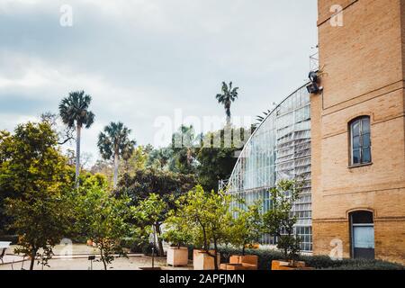 Valencia, Spain - January 18, 2020: Botanical garden of Valencia. Stock Photo