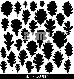 Oak leaves silhouette set isolated on white background vector Stock Vector