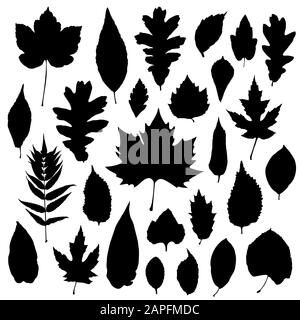 Leaves silhouettes set isolated on white background. Vector illustration Stock Vector