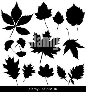 Vector set of leaves silhouette Stock Vector Image & Art - Alamy