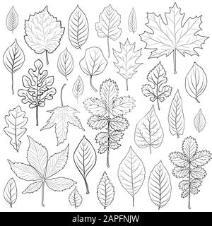 Leaves silhouette set vector. Coloring book page for adult Stock Vector