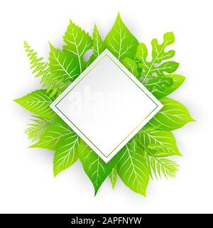 Vector frame with green leaves Stock Vector