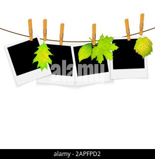Photo frames on rope with clothespins and green leaves vector background Stock Vector