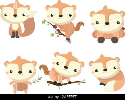 Little cute squirrel in different poses. Stock Vector