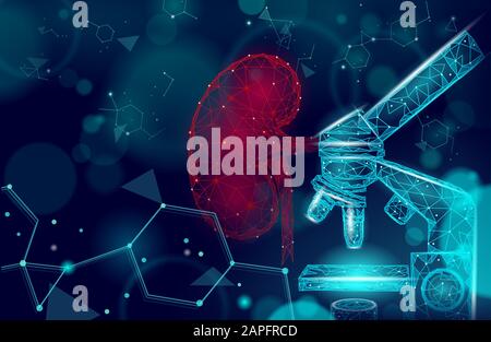 Human kidneys medicine microscope research concept. Medical help therapy analysis treatment. Urinary system cancer abdomen prevention poster template Stock Vector