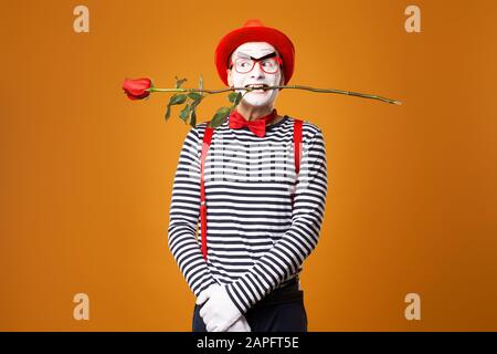 Mime with white face in red hat and striped T-shirt holding rose in his mouth on blank orange background in studio Stock Photo