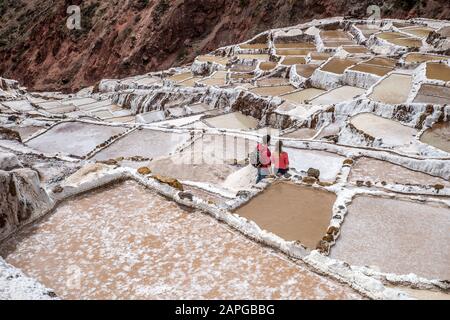 Top view of a couple amazed at the rice fields they are surrounded in on a cool day Stock Photo