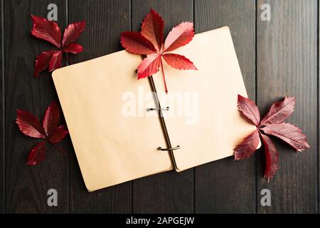 Empty open craft notebook with red atumn leaves of parthenocissus over brown wooden table. Copy space. Top view, flat lay Stock Photo