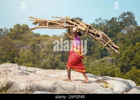 A indian woman on the rocks while carrying firewood in Sijhora Madhya Pradesh India Stock Photo