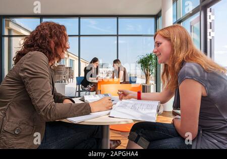 Female students learning in a team at a suny university surrounding Stock Photo