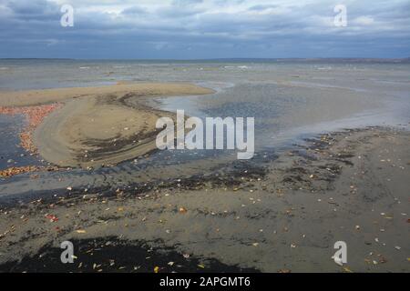 Patterns on sandy beach and leaves in fall Stock Photo