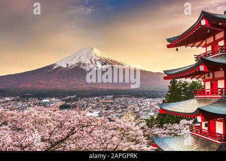 Fujiyoshida, Japan with Mt. Fuji and Chureito Pagoda at dusk during spring cherry blossom season. Stock Photo