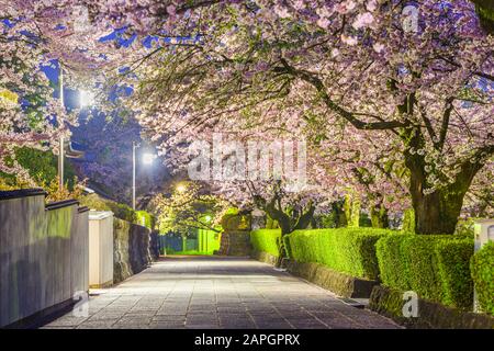 Shizuoka, Japan old town streets around Taiseki-ji Temple in spring season. Stock Photo